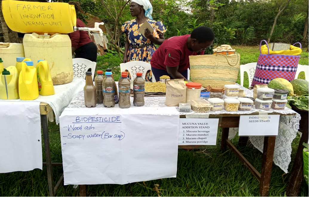 Farmers Increasingly Embrace Traditional Seeds To Adapt To Climate Change
